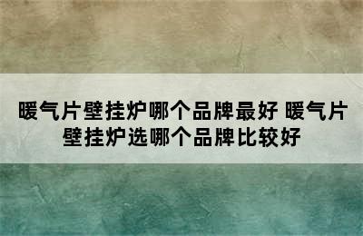 暖气片壁挂炉哪个品牌最好 暖气片壁挂炉选哪个品牌比较好